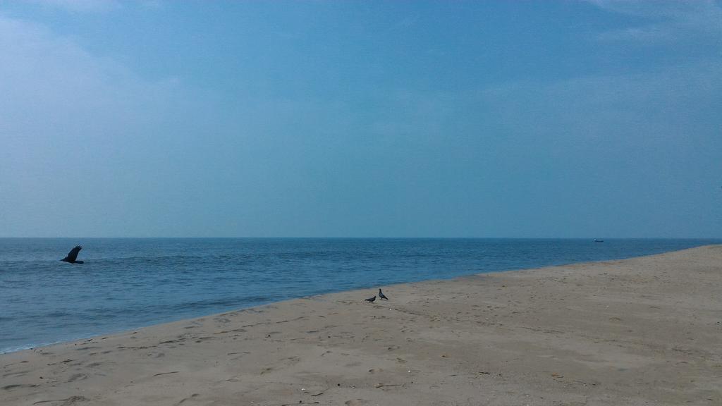 Marari Secret Beach Yoga Homestay Mararikulam Εξωτερικό φωτογραφία